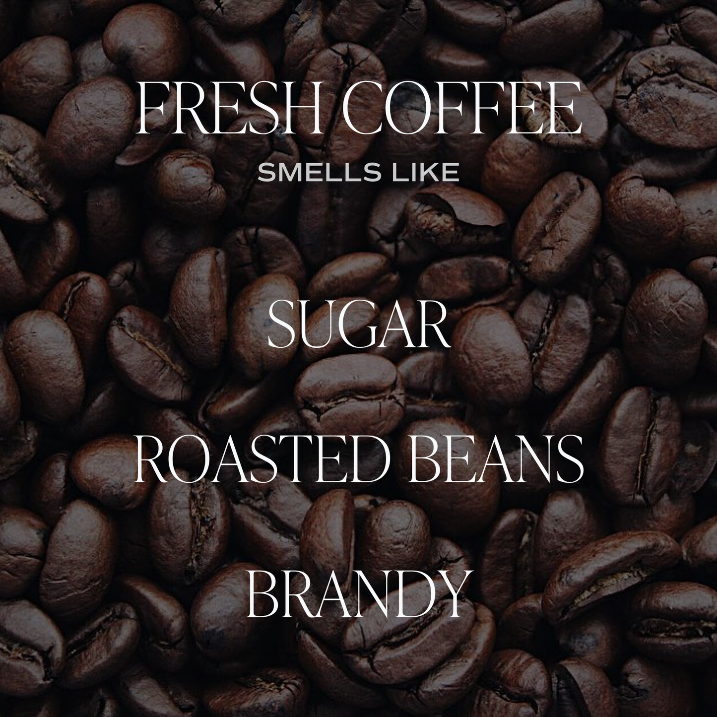 Fresh Coffee | 9 oz Soy Candle