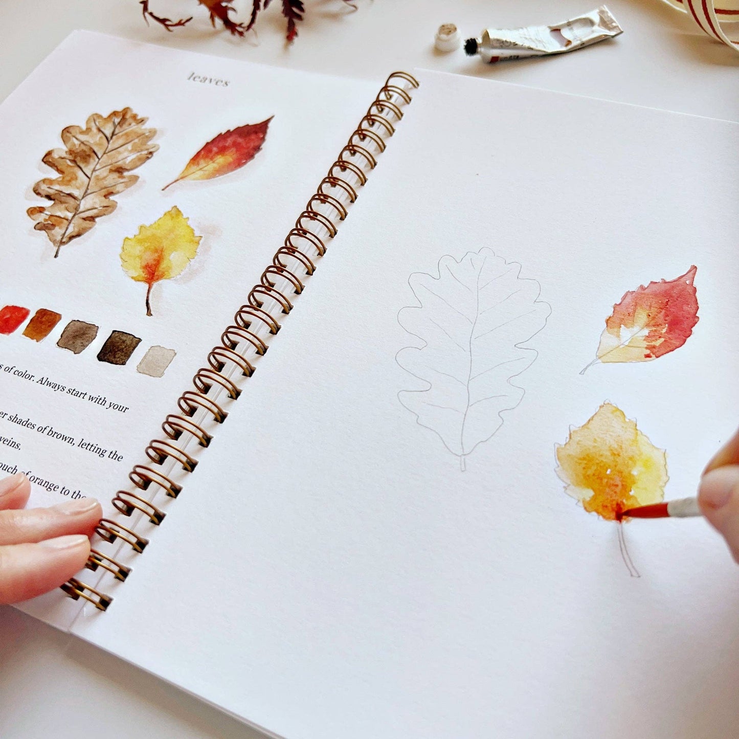 Watercolor Workbook | Autumn
