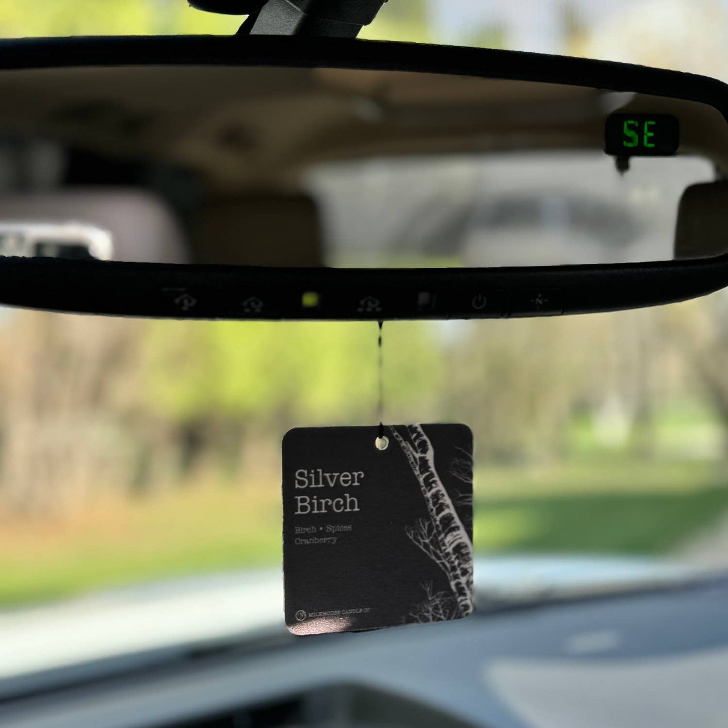 Car Freshener: Silver Birch