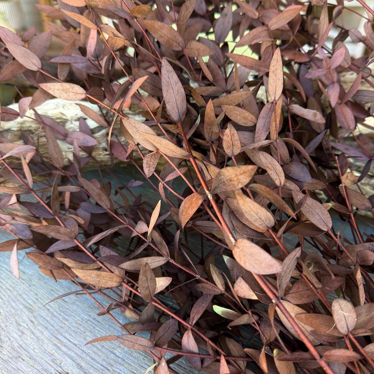 Fall Florals | Dried Eucalyptus | Autumn Red