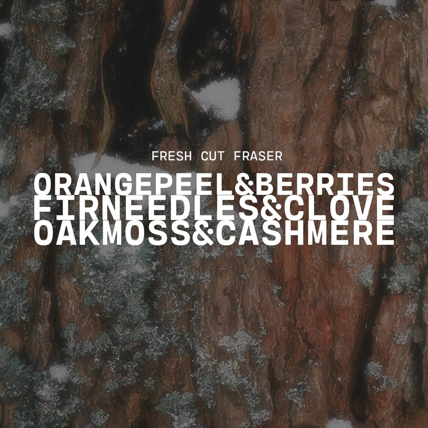 Milkhouse Jar Candle: Fresh Cut Fraser