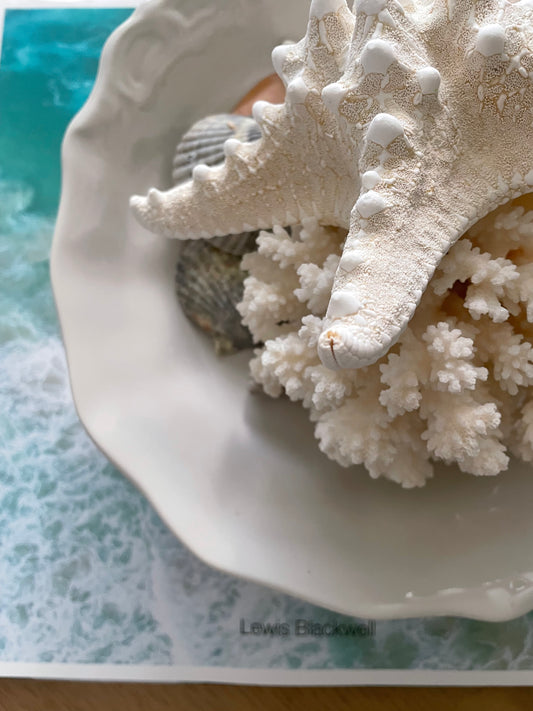Gathered + Found Tip | Cleaning Old Coral.
