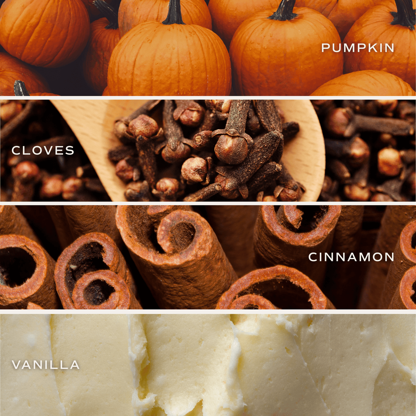 Autumn Reed Diffuser | Pumpkin Spice