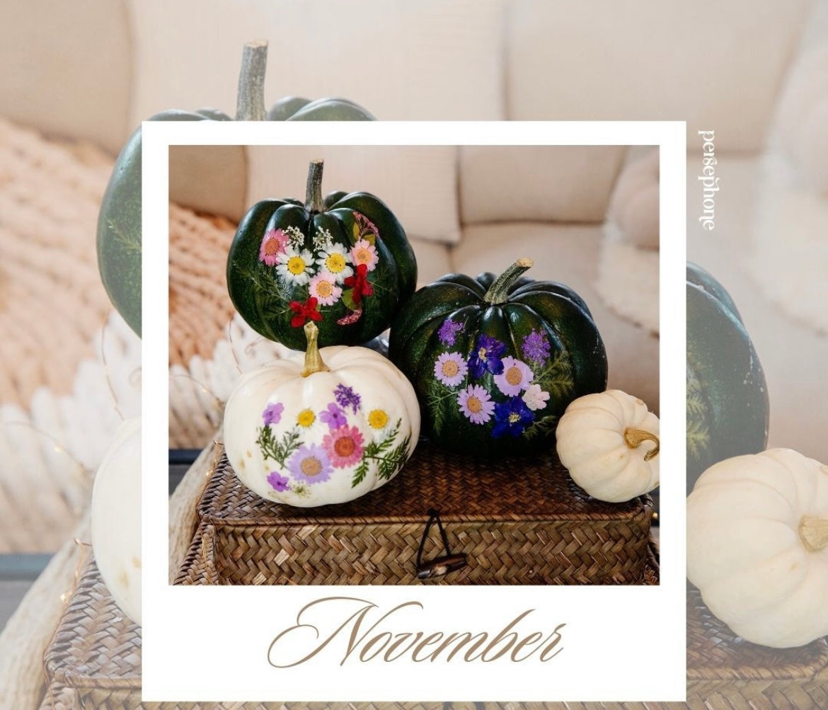 Petals + Pumpkins | Pressed Floral Workshop!