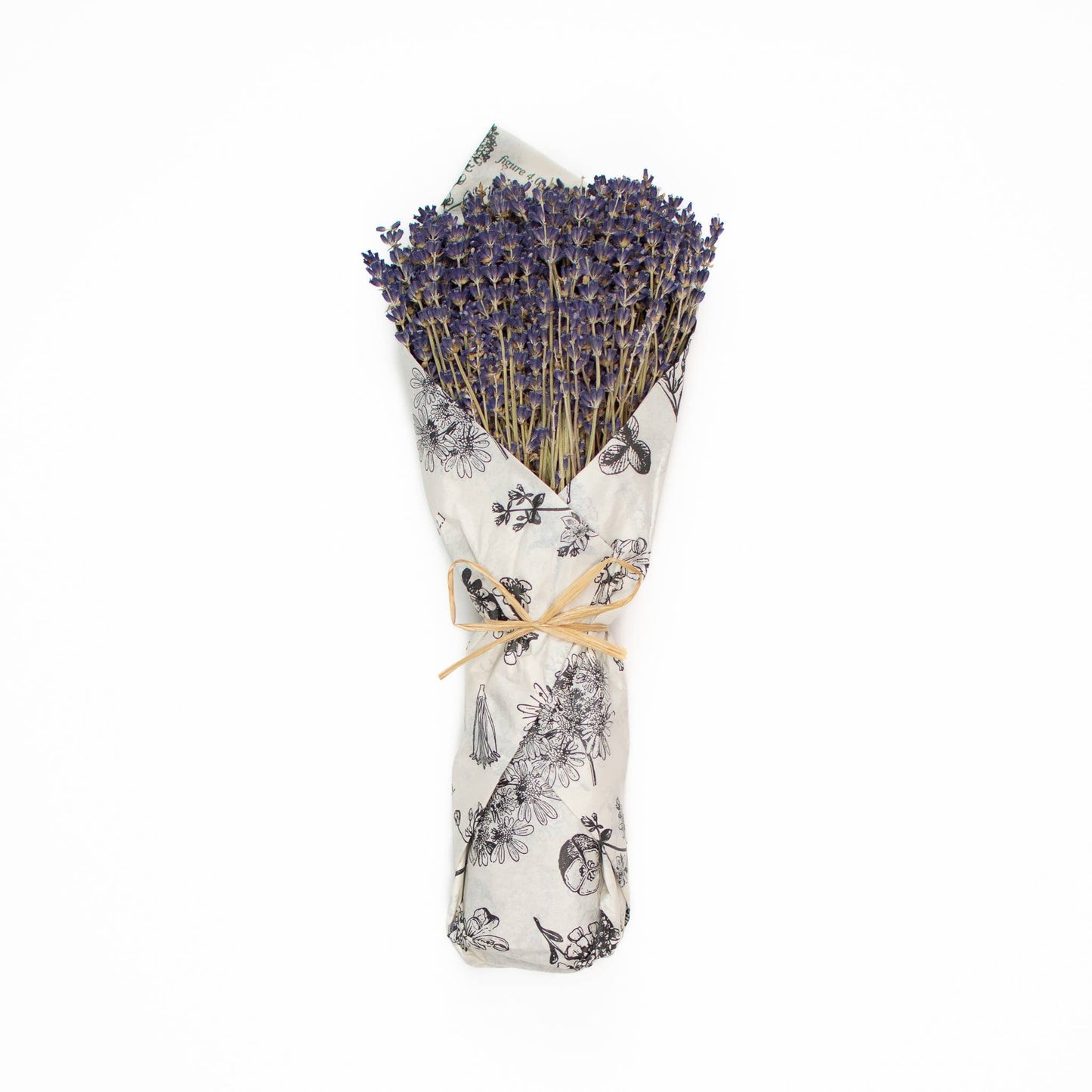 French Lavender Wrapped In Tissue - Botanical