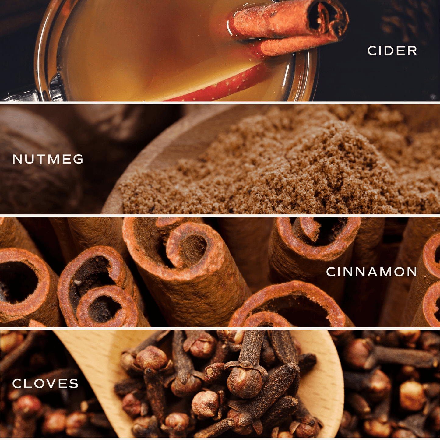 Autumn Reed Diffuser | Hello Fall
