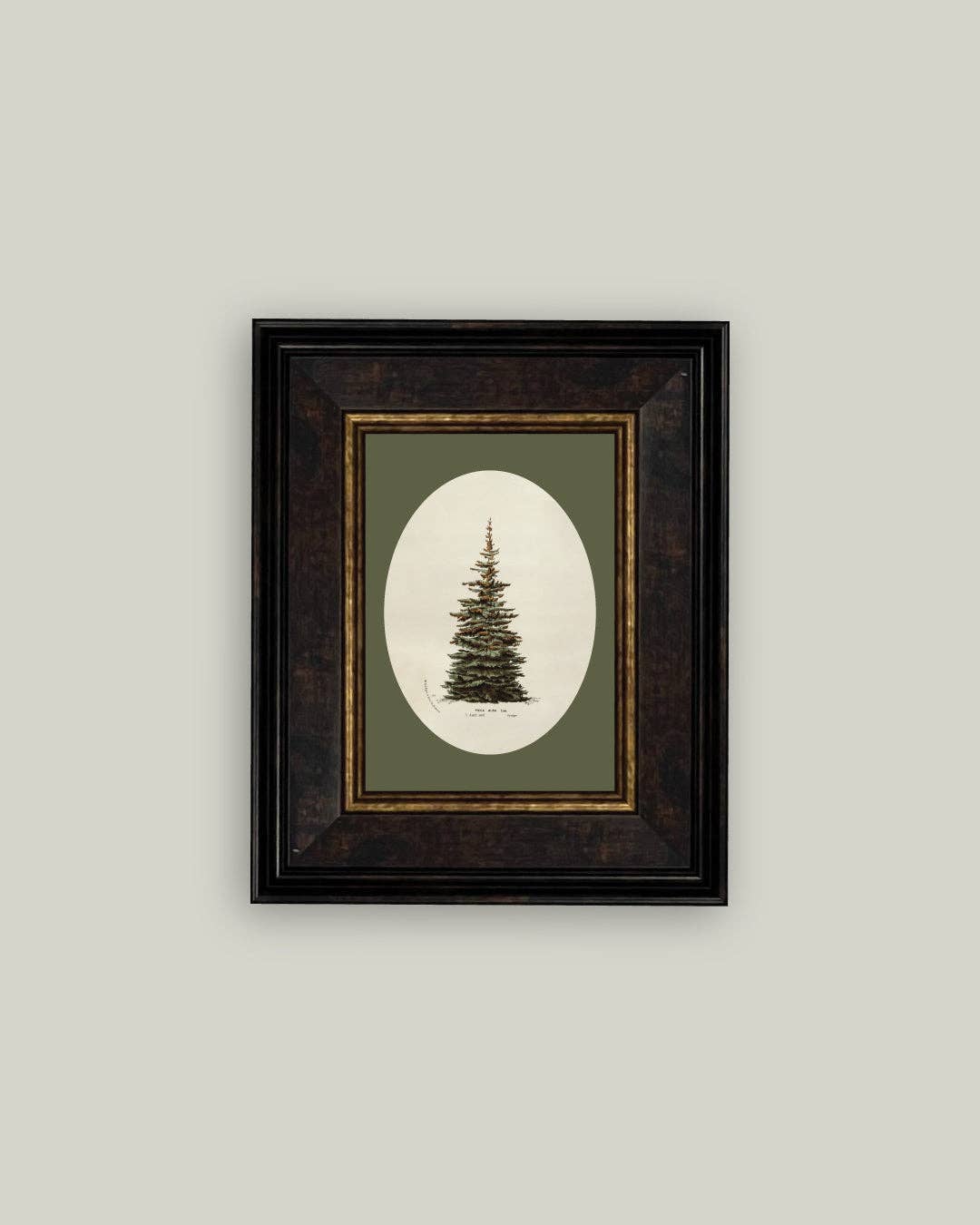 Oval Matte Tree Framed Art