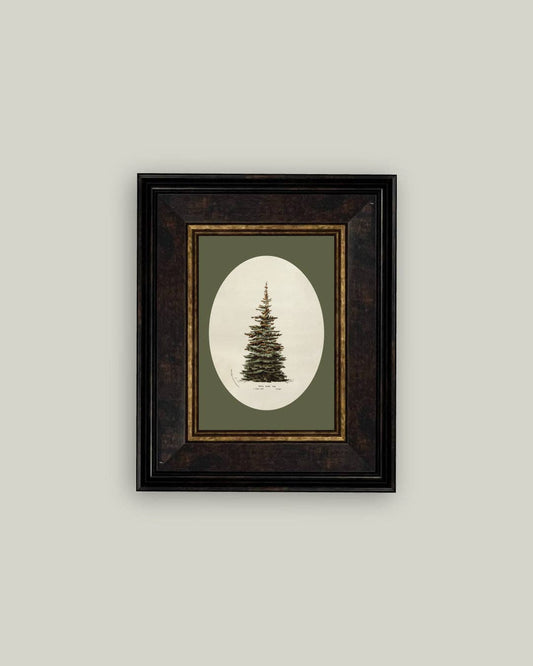 Oval Matte Tree Framed Art