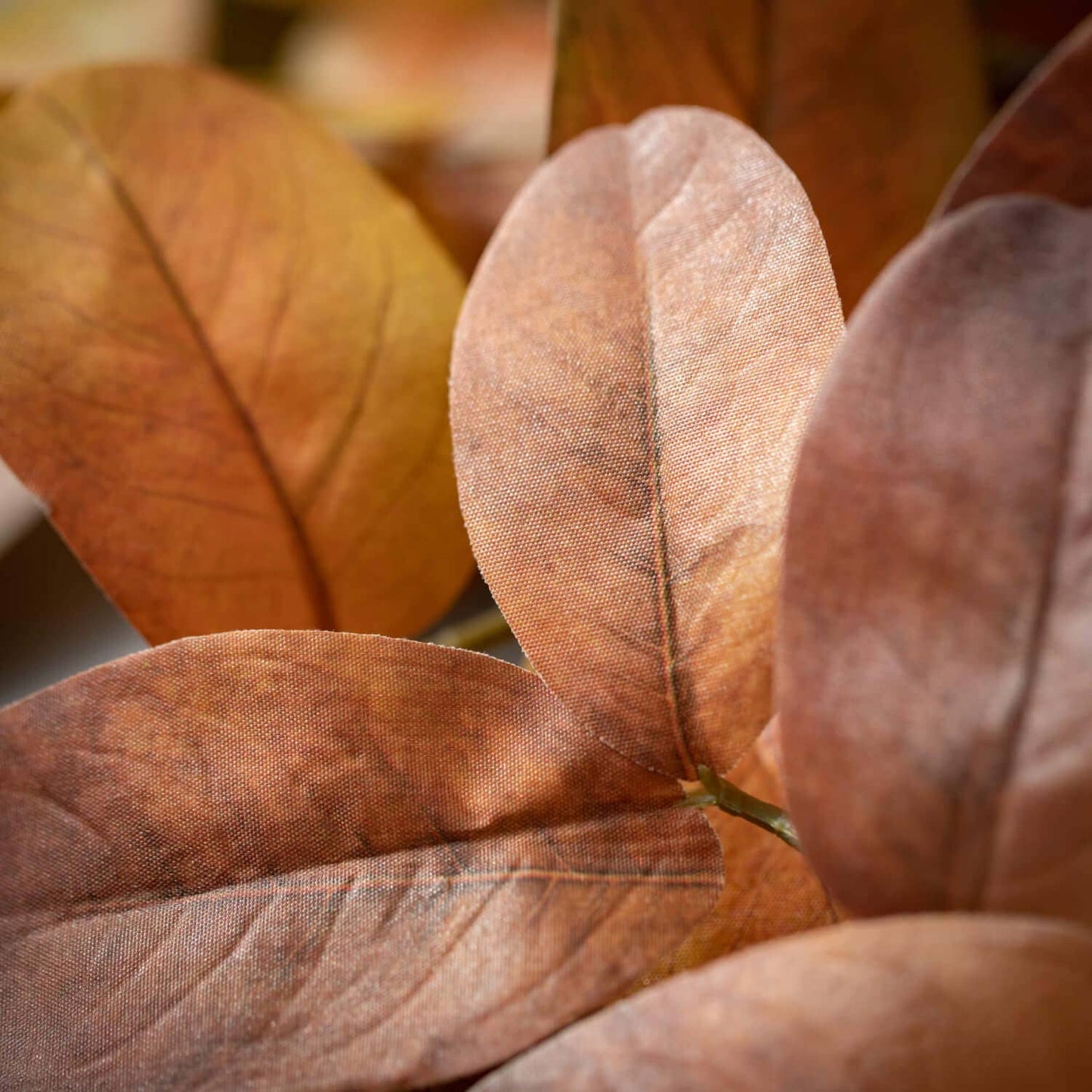 Fall Leaves Stem