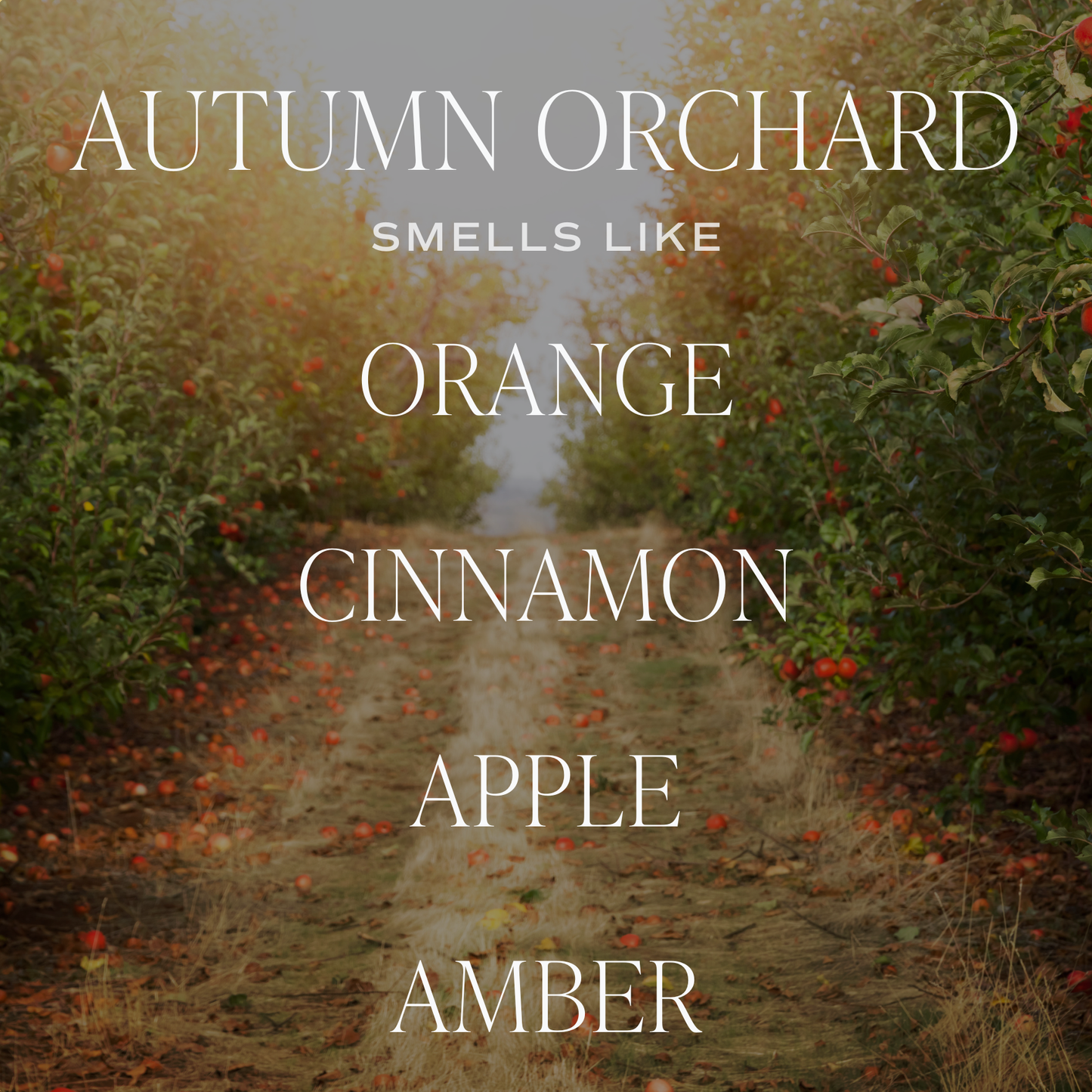 Autumn Orchard | Soy Candle