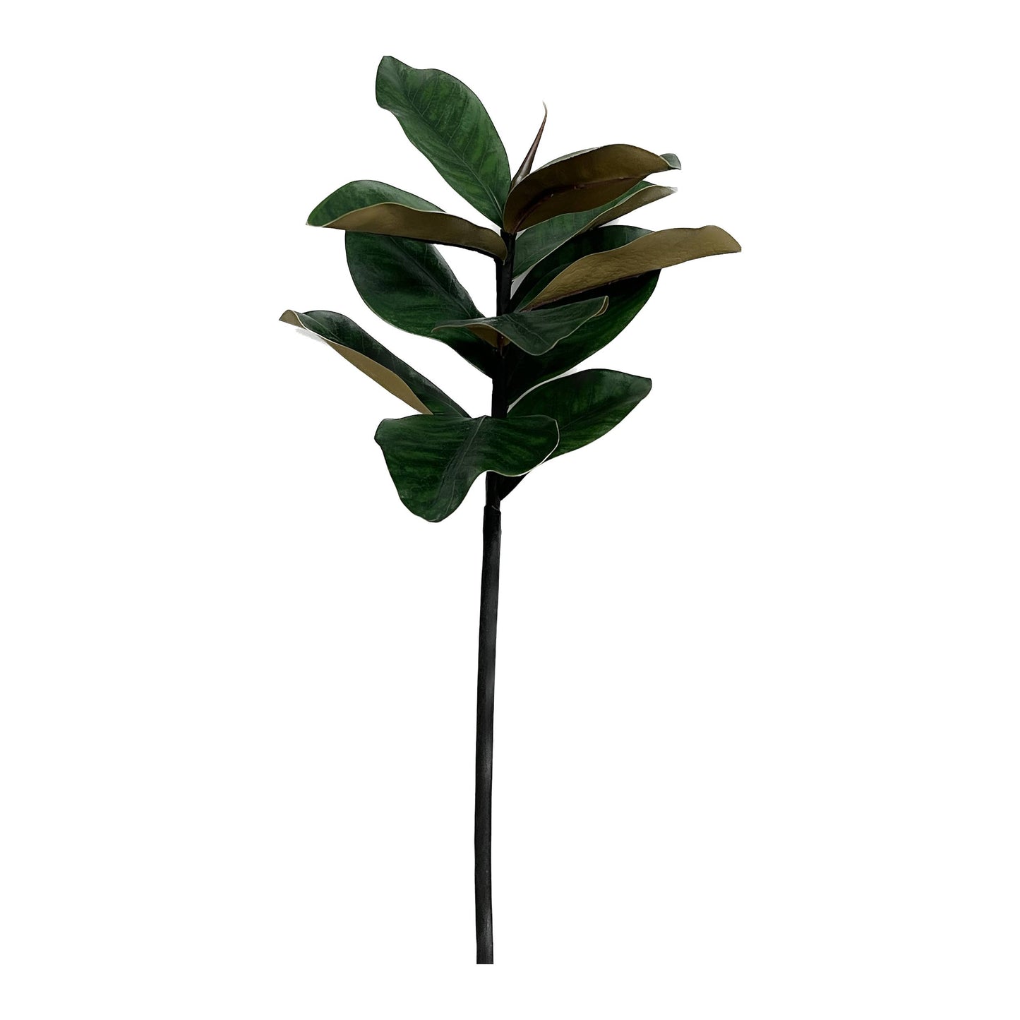 27" Real touch Magnolia Leaf Spray: Natural Green
