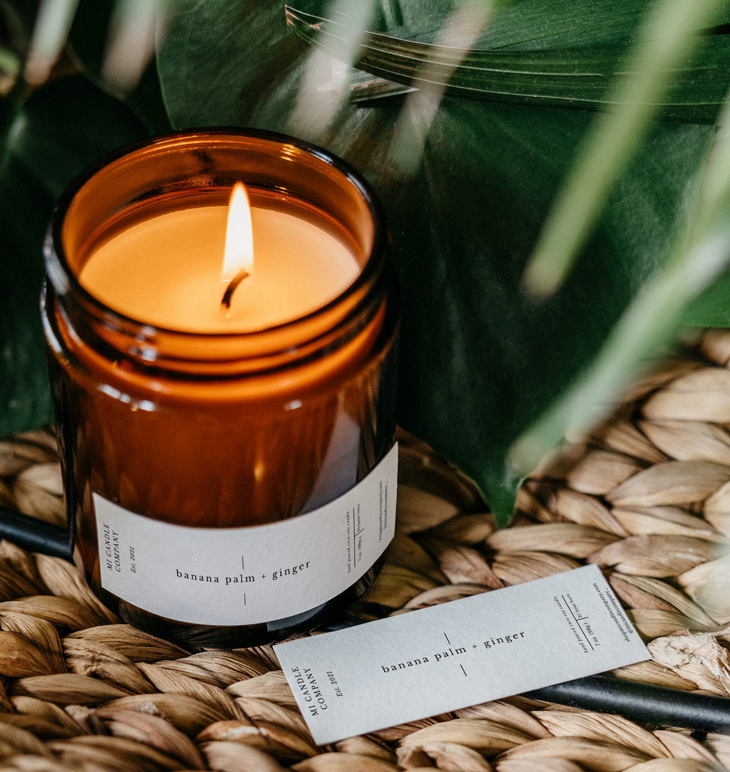 Banana Palm + Ginger Coco-Soy Wax | Cotton Wick