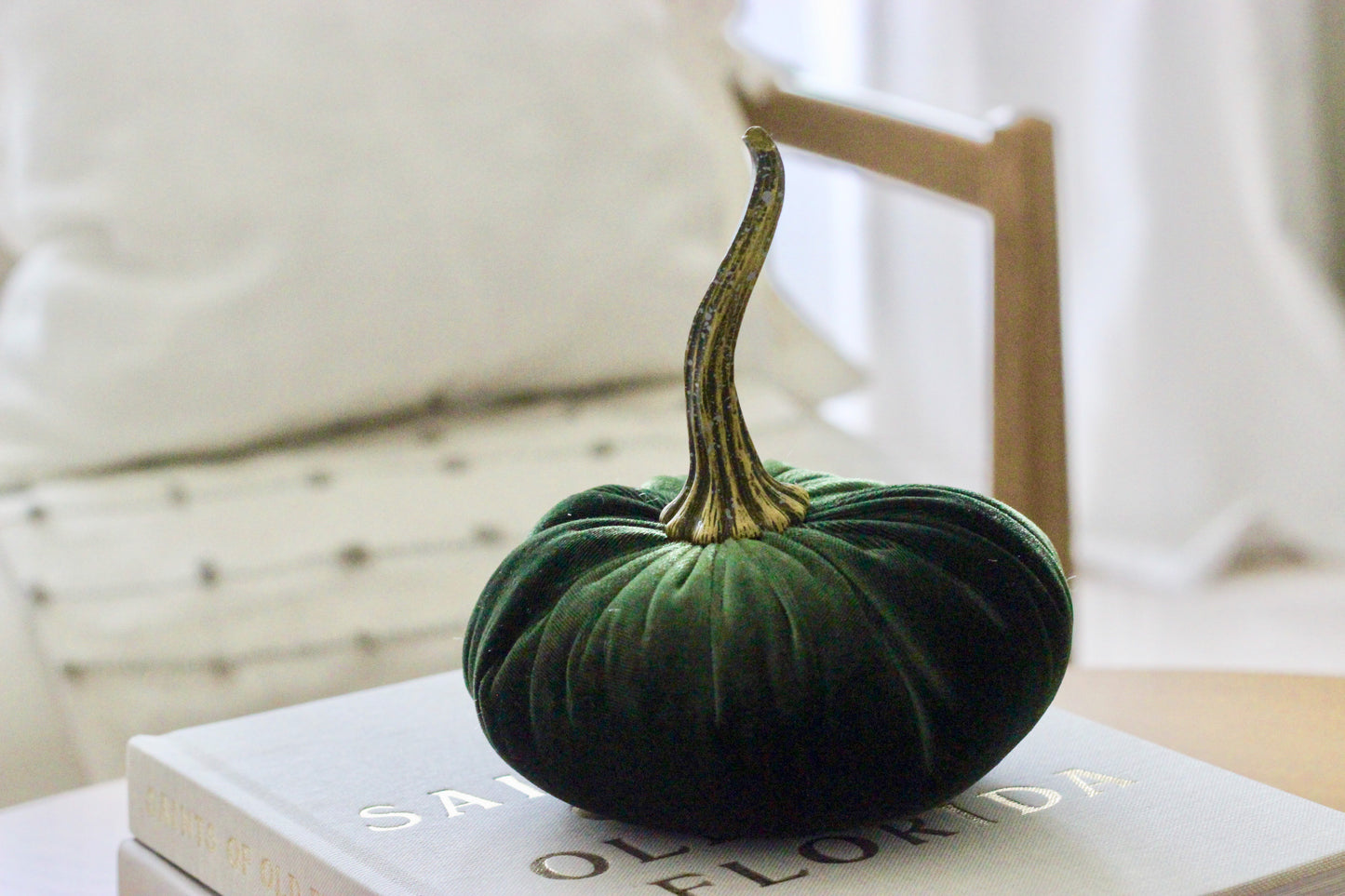 Velvet Pumpkin | Large | Olive