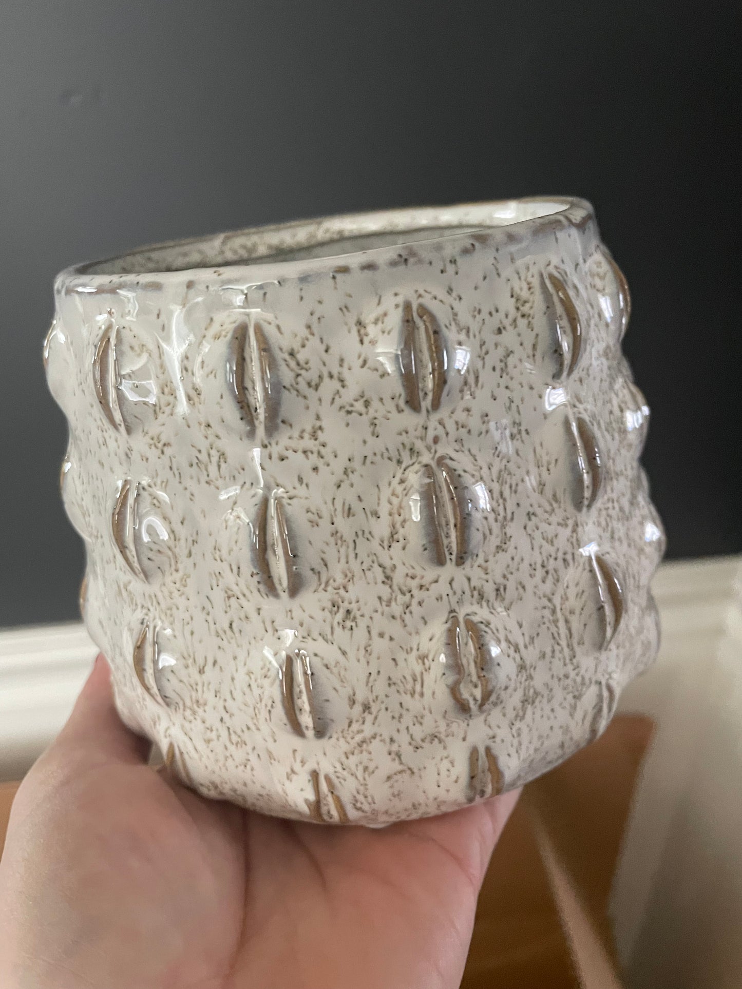 Cream Textured Pot | Large
