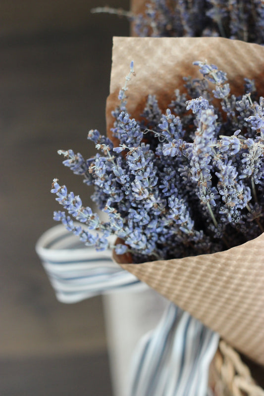 Dried Floral | French Lavender Bundle